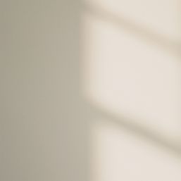 LickPro  5Ltr White 05 Vinyl Matt Emulsion  Paint