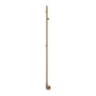 Reina 1500mm x 22mm 119BTU Brass Pole Electric Towel Rail Radiator