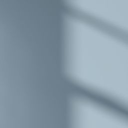 LickPro Max+ 1Ltr Blue 17  Matt Emulsion  Paint