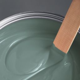 LickPro Max+ 5Ltr Green 04 Matt Emulsion  Paint