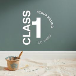 LickPro Max+ 5Ltr Green 04 Matt Emulsion  Paint