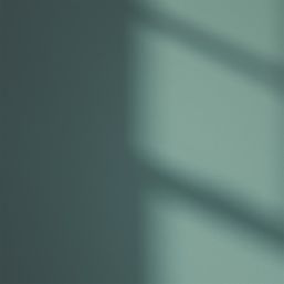 LickPro Max+ 5Ltr Green 04 Matt Emulsion  Paint