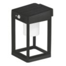 4lite Antheia Outdoor LED Solar Wall Lantern With PIR Sensor Anthracite 300lm