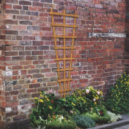 Forest  Softwood Fan Trellis 2' x 6' 5 Pack