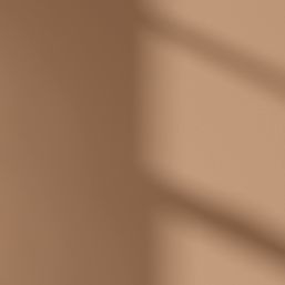 LickPro Max+ 1Ltr Brown 02 Matt Emulsion  Paint