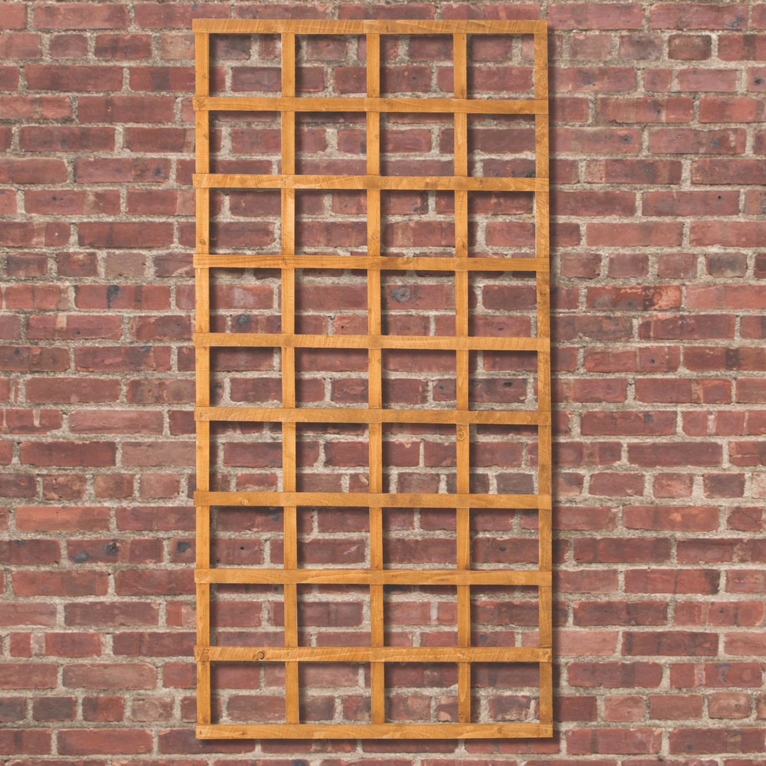 Forest Softwood Rectangular Trellis 3' x 6' 5 Pack (107PP)
