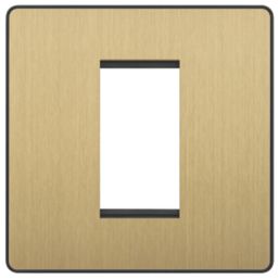 British General Evolve 1-Module Modular Faceplate Satin Brass