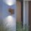 Eglo Tomelloso Outdoor Wall Light Rust