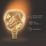 Calex XXL Organic Neo E27 Decorative LED Light Bulb Champagne 75lm 4W