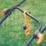 LawnMaster MEH1633M-01 1600W 33cm Hover Mower 240V