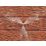 Tesla VFLOW Copper End Feed PRV Blow Off Cap 22mm
