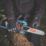 Erbauer ERT1037CHN 36V Li-Ion EXT Brushless Cordless 30cm Chainsaw - Bare