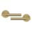 Cooke & Lewis Wembrit Lever on Rose Door Handles Pair Brushed Brass