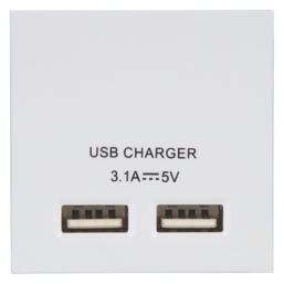 LAP  Modular 3.1A 15.5W 2-Outlet Type A USB Socket White