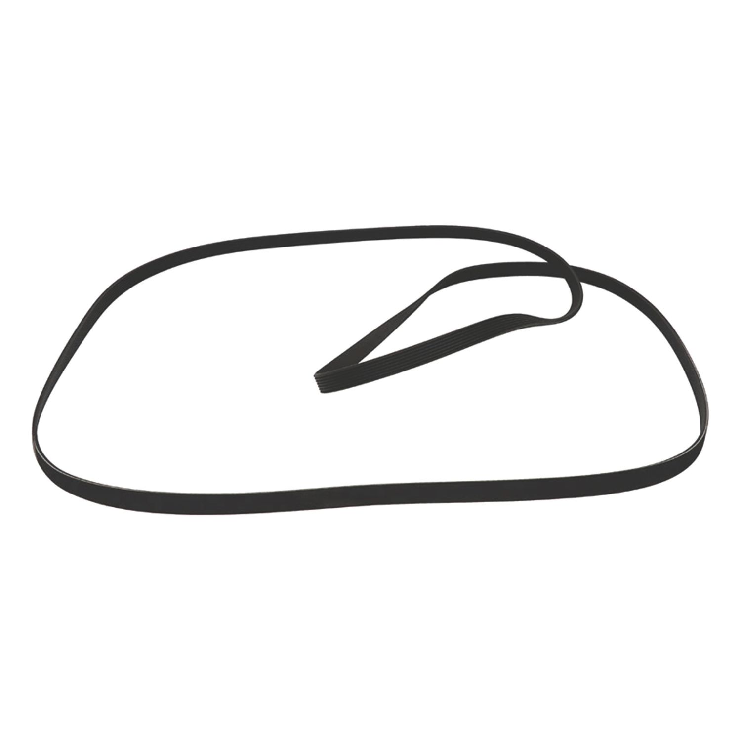 Electruepart BLT9119 Drive Belt 1 (151EV)