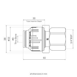 Flomasta  Plastic Push-Fit Straight Tap Connector 15mm x 3/4"