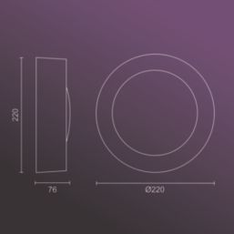 Philips Hue Daylo Outdoor LED Wall Light Inox 15W 1060lm