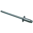 Easyfix   Blind Rivets 4mm x 10mm 500 Pack