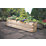 Forest Caledonian Raised Bed  1800mm x 450mm x 450mm