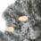 Octanis 500mm Indoor LED Pre Lit Artificial Christmas Wreath