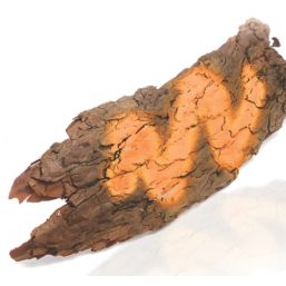 Oregon 500ml Orange Matt  Forestry Marking Spray Paint