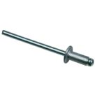 Easyfix   Blind Rivets 4mm x 12mm 500 Pack