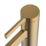 Clearwater Taku Monobloc Mixer Tap Brushed Brass PVD