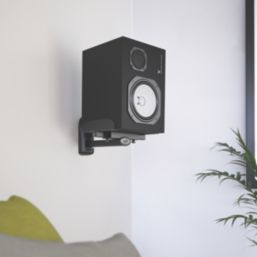 Large speaker best sale wall mounts