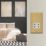 Varilight  1-Gang Dual Voltage Shaver Socket 115V Polished Brass with White Inserts