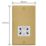 Varilight  1-Gang Dual Voltage Shaver Socket 115V Polished Brass with White Inserts