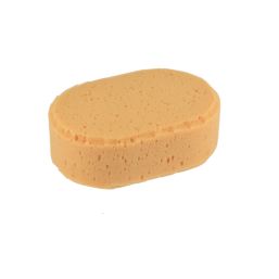 Essentials Sponge  115mm x 170mm 5 Pack
