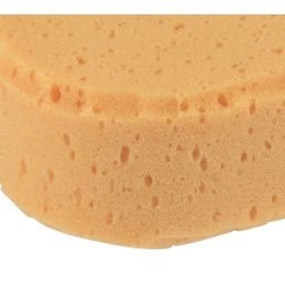 Essentials Sponge  115mm x 170mm 5 Pack