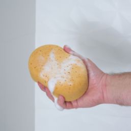 Essentials Sponge  115mm x 170mm 5 Pack