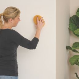 Essentials Sponge  115mm x 170mm 5 Pack