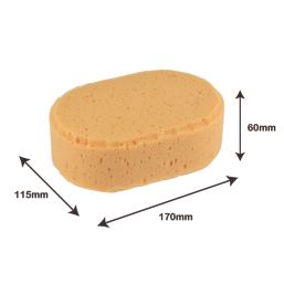 Essentials Sponge  115mm x 170mm 5 Pack