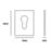 Eclipse  Euro Escutcheon (Single) Satin Stainless Steel 45mm