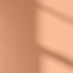 LickPro  2.5Ltr Orange 05 Vinyl Matt Emulsion  Paint