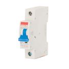 Contactum Defender 20A SP C Curve  MCB