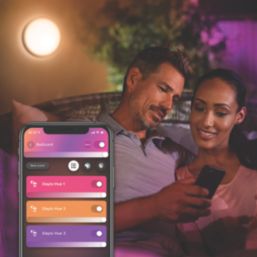 Philips Hue Daylo Outdoor LED Wall Light Black 15W 1060lm