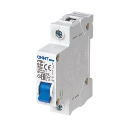 Chint EBG 40A SP B Curve  MCB