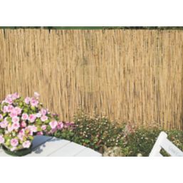 Apollo Reed Garden Screen 4m x 1m