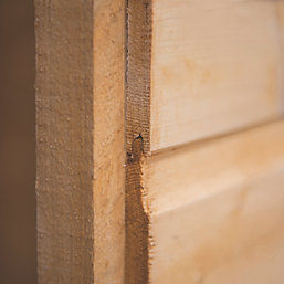 Forest Delamere 8' x 6' (Nominal) Pent Shiplap T&G Timber Shed