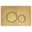 Circuit Dual-Flush Flushing Plate Brushed Brass