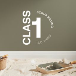 LickPro Max+ 1Ltr Green 19 Matt Emulsion  Paint