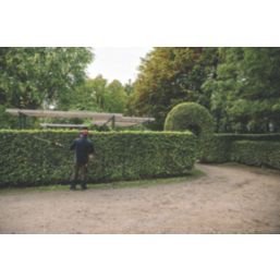 STIHL HLA 66  50cm 36V Li-Ion AP System Brushless Cordless Long Reach Hedge Trimmer - Bare