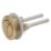 Highlife Bathrooms  Dual-Flush Close Couple Cistern Flushing Button Brushed Brass
