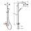 Mira Form Rear-Fed Exposed Chrome Thermostatic Dual Outlet Mixer Shower