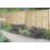 Forest Super Lap  Fence Panels Natural Timber 6' x 5' Pack of 6