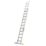 Lyte ProLyte 5.58m Extension Ladder