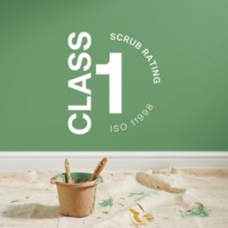 LickPro Max+ 1Ltr Green 07 Matt Emulsion  Paint